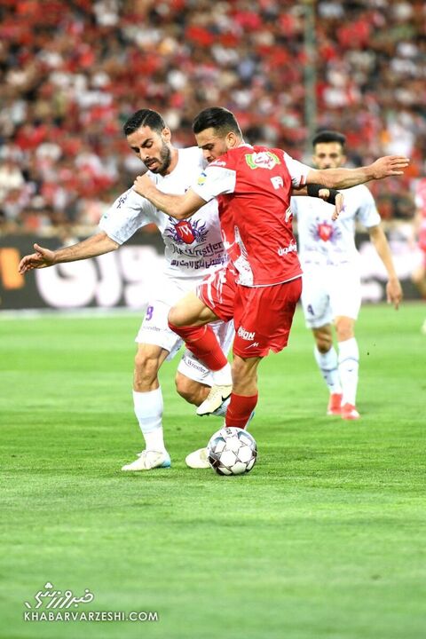 پرسپولیس هوادار