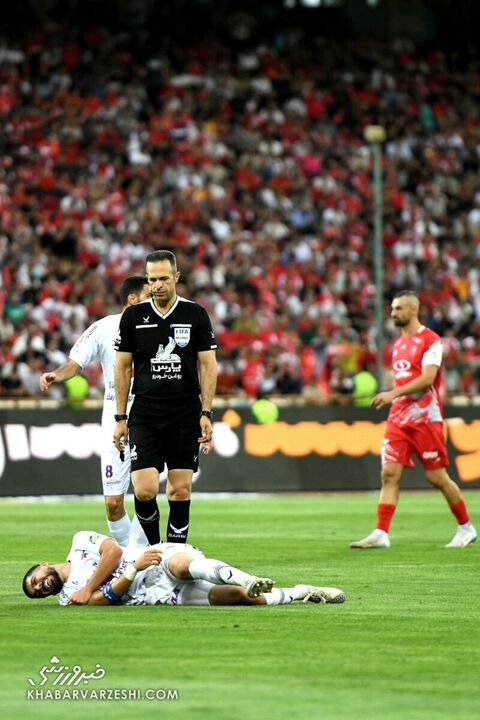 پرسپولیس هوادار