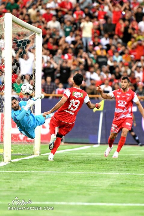 پرسپولیس هوادار