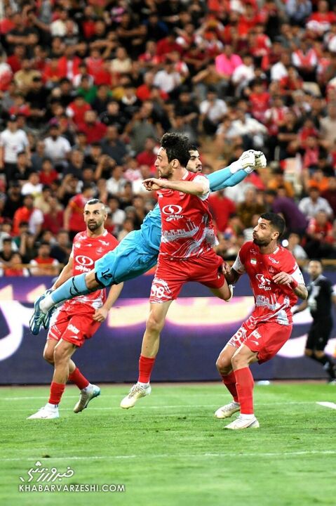 پرسپولیس هوادار