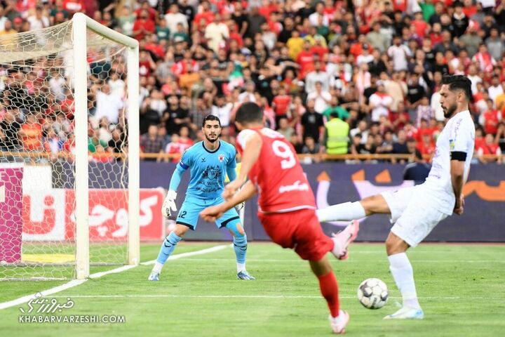 پرسپولیس هوادار