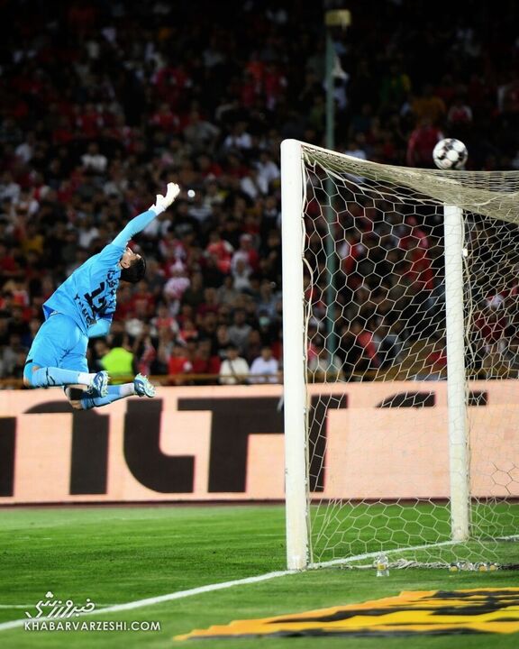 پرسپولیس هوادار