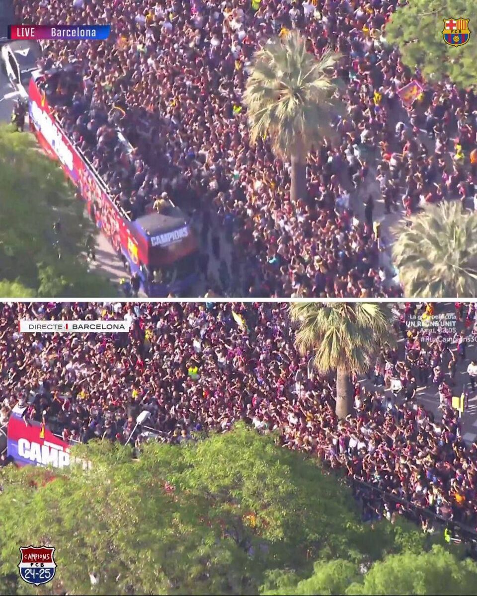 شهر به تسخیر آبیواناریها در آمد +عکس