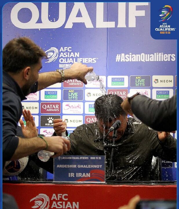 قلعه‌نویی