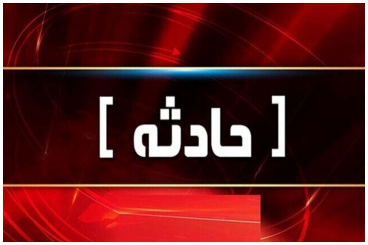 حمله وحشیانه یک اسراییلی به کودک دو ساله ایرانی در فرودگاه مسکو/ فیلم حاوی صحنه های دلخراش است