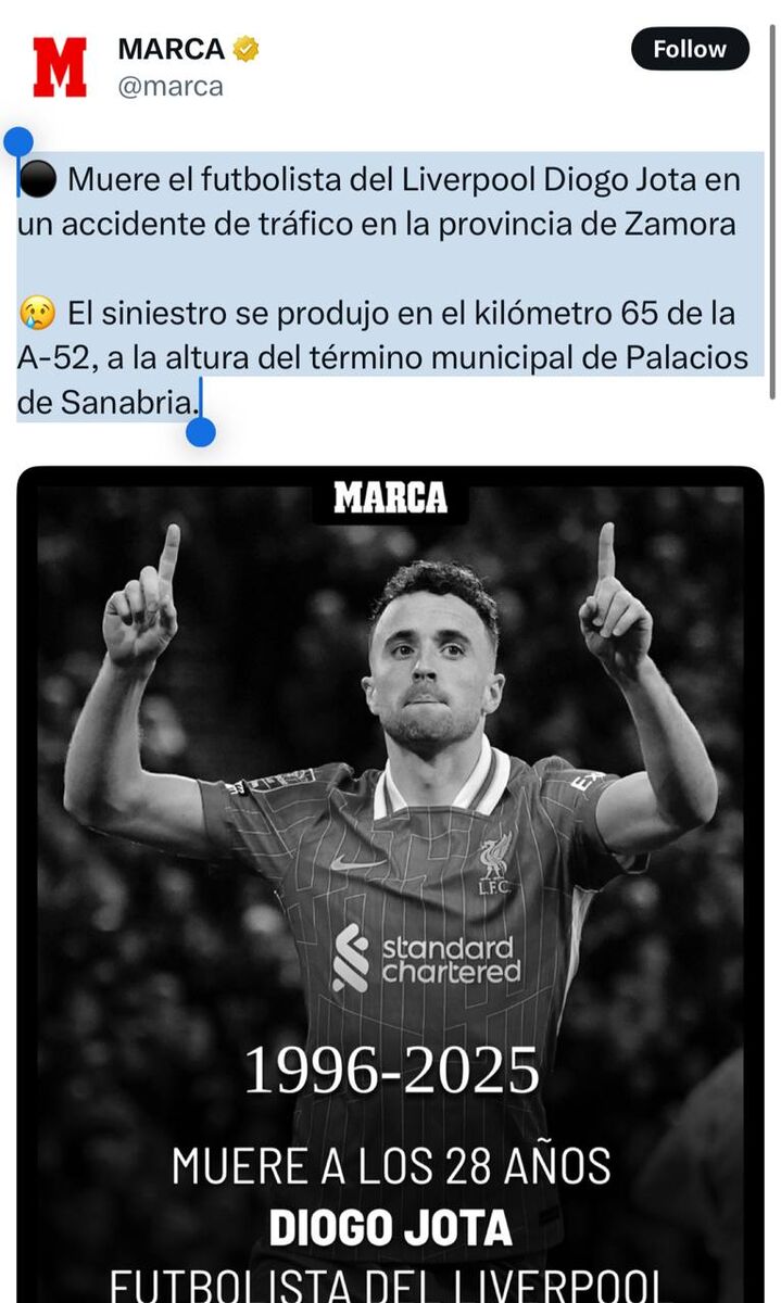 دیگو ژوتا؛ گلزن حرفه ای، گیمر حرفه ای تر