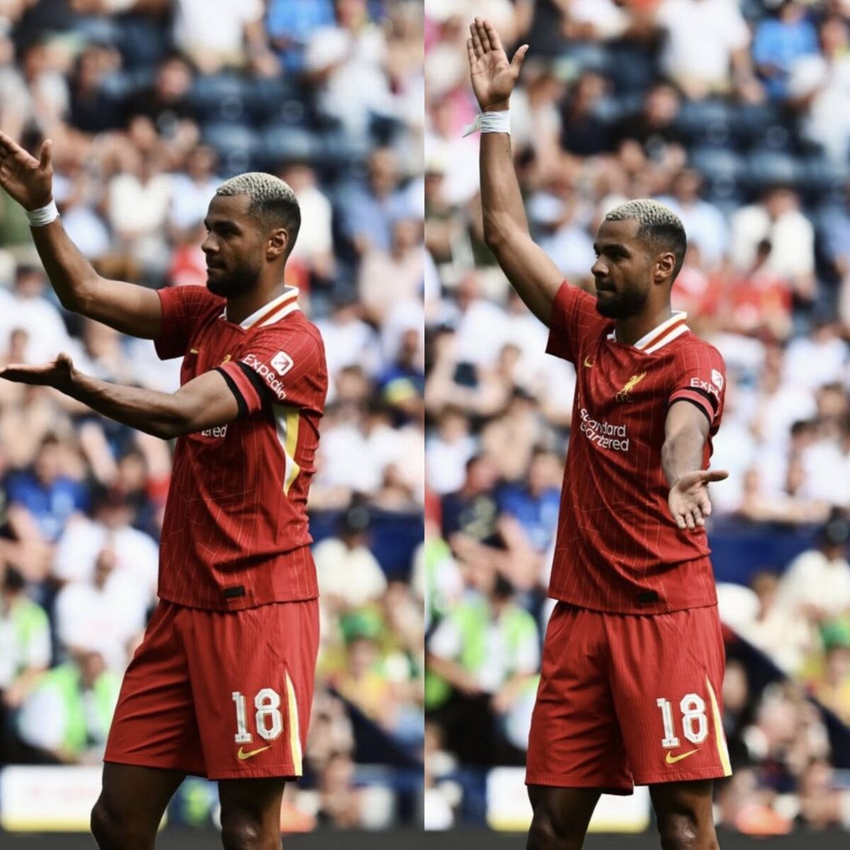 آنفیلد غرق در یاد ژوتا