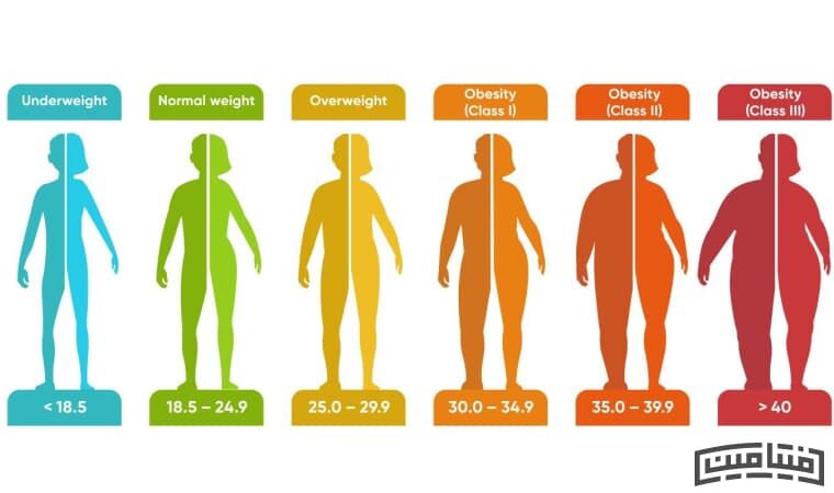 برنامه ورزشی رایگان برای تناسب اندام
