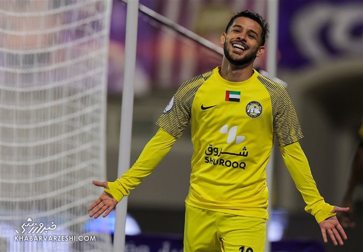 مهدی قایدی