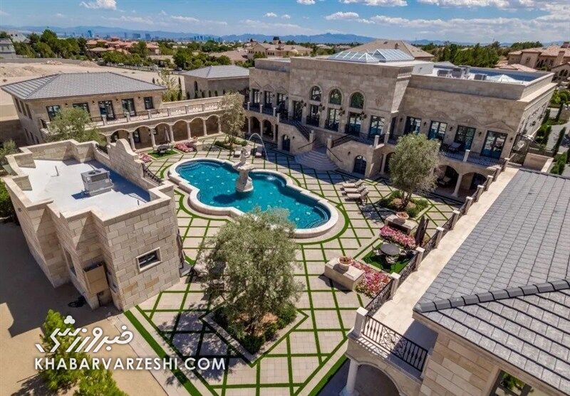 دارای تایسون