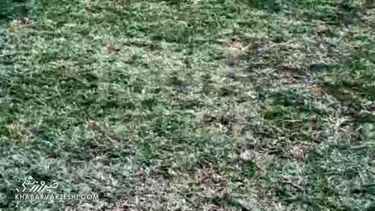 ویدیو| وضعیت اسف بار چمن ورزشگاه تختی! ویدیو| وضعیت اسف بار چمن ورزشگاه تختی!