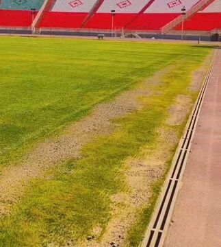 فتوشاپ مدارک مدیریتی شماست نه عکس‌های رسانه‌ها/ از چمن هیبریدی فقط قسمت دومش ماند!