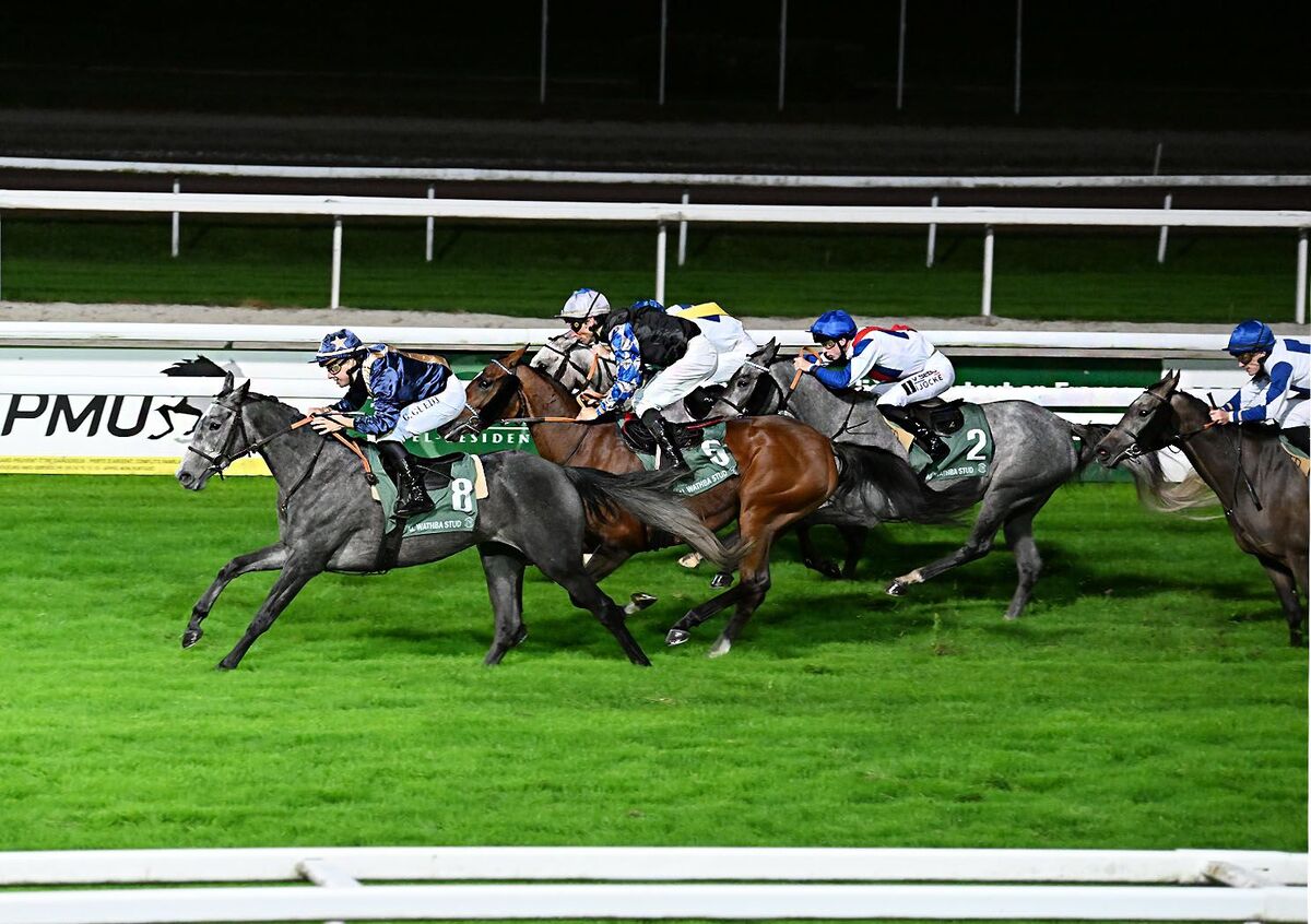 شب تاریخی اسبدوانی ایران در فرانسه/ پیست تولوز در تصرف تی اس ویسما و نرسی!