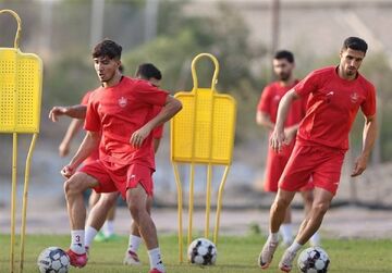 تمرین پرسپولیس زیر نظر سرمربی برزیلی و کادر کامل؛ تکلیف دستیاران مشخص میشود