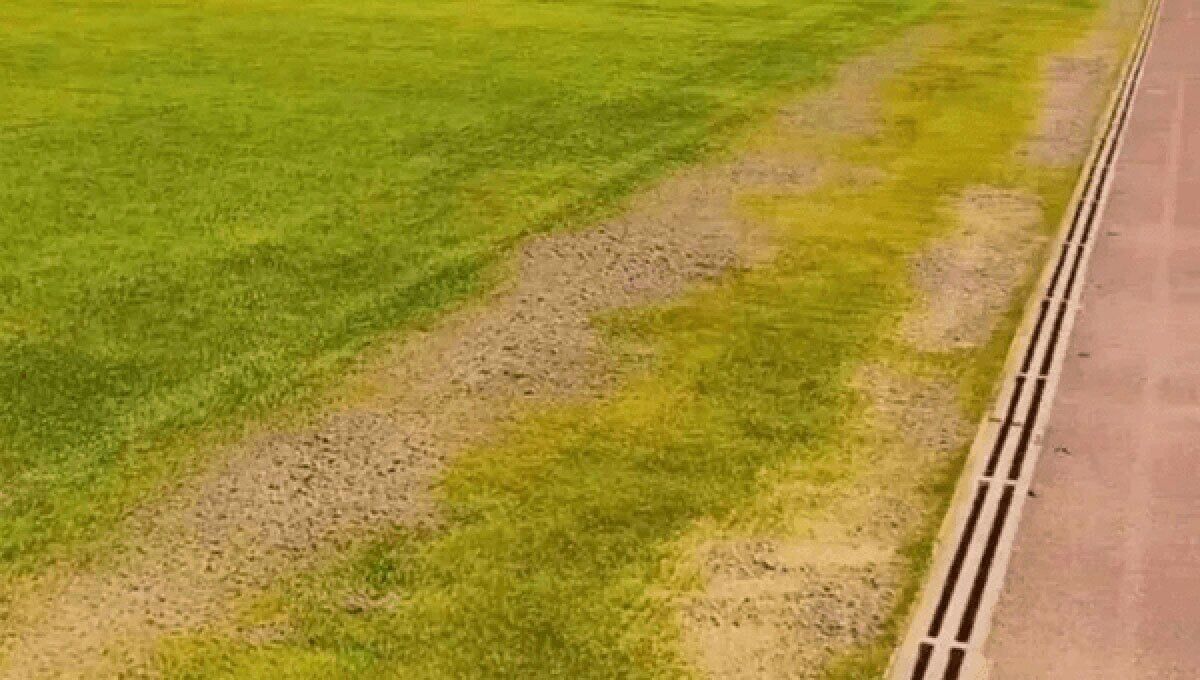 ویدیو| وضعیت بسیار بد چمن ورزشگاه یادگار امام در آستانه بازی با الشرطه