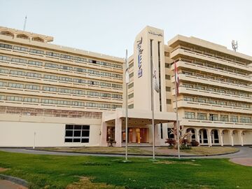 ستاره‌های مصری، همسایه خبرنگاران ایرانی