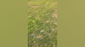 ویدیو| وضعیت افتضاح ورزشگاه میزبان بازی استقلال و پادیاب!