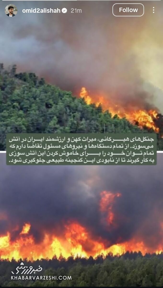 درخواست ویژه کاپیتان پرسپولیس برای نجات جنگل‌های هیرکانی +عکس