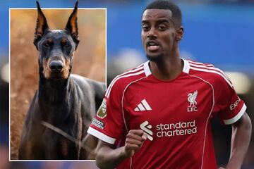 ستاره قرمزها تهدید به مرگ شد؛ خرید سگ نگهبان برای حفاظت از خانواده