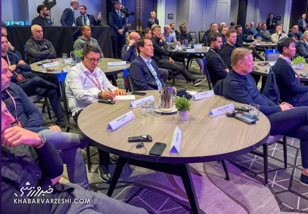 امیر قلعه نویی