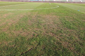 گلایه ساپینتو و اوسمار؛ این چمن‌ها مایه شرمساری است/ اوج‌گیری انتقادات از وضعیت زمین‌های فوتبال