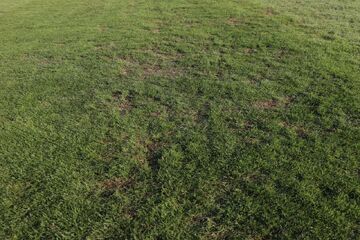 فاجعه‌ای که هر روز پررنگ‌تر می‌شود؛ کار به وصله‌پینه‌ رسیده است!