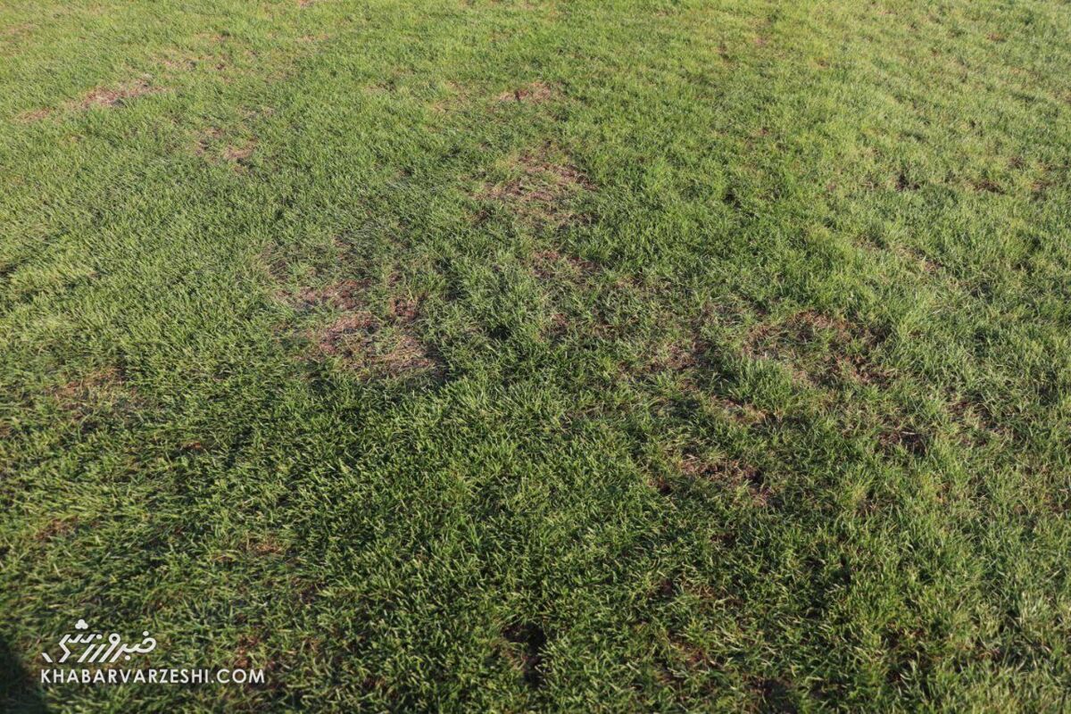 چمن ورزشگاه 