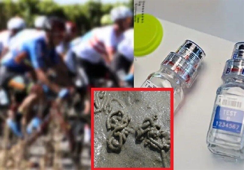 روش جدید و خطرناک دوپینگ؛ «کرم دریایی» که اکسیژن خون را چند برابر می‌کند +عکس