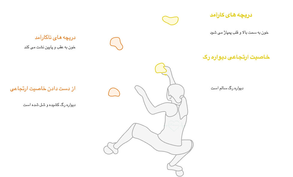 ورزشکاران مراقب باشند: چگونه ورزش خطر واریس پا را افزایش می‌دهد؟