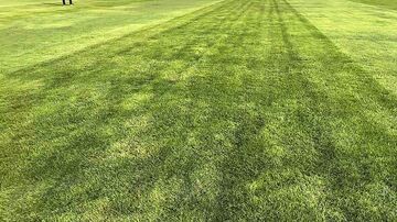 ویدیو| چمن چند رنگ ورزشگاه شهر قدس از نمای نزدیک!