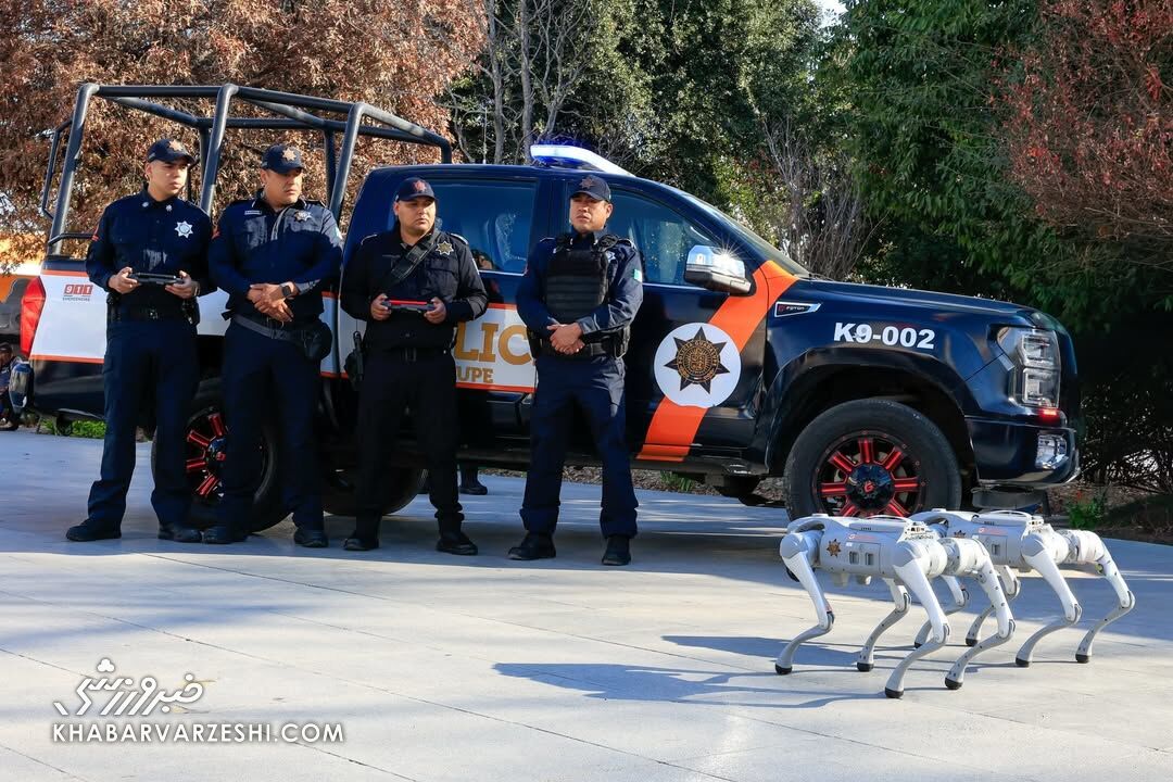 ویدیو| سگ‌های آهنی مامور تامین امنیت جام جهانی!