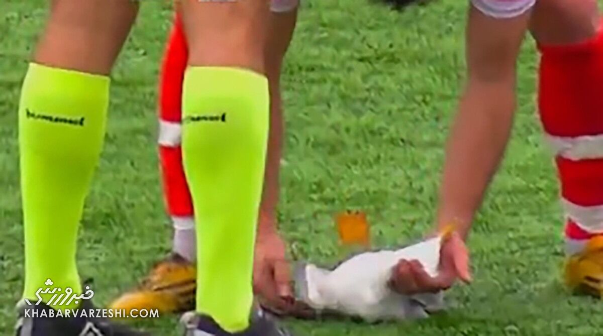 ویدیو| احیای جان یک مرغ دریایی وسط زمین فوتبال