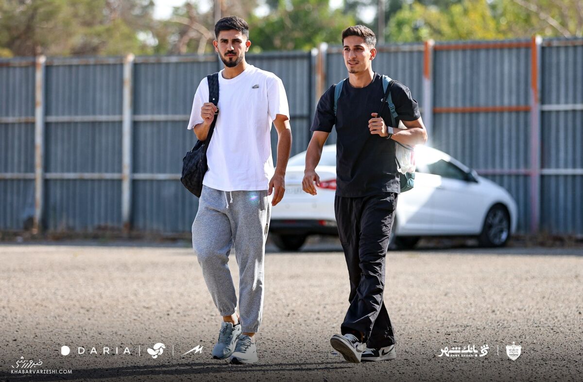 محمودی