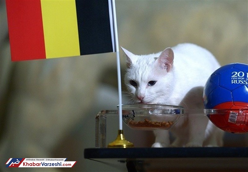 پیش‌بینی برنده نبرد انگلیس و بلژیک توسط آشیل