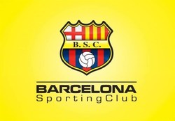 بارسایی‌ها کشته شدند