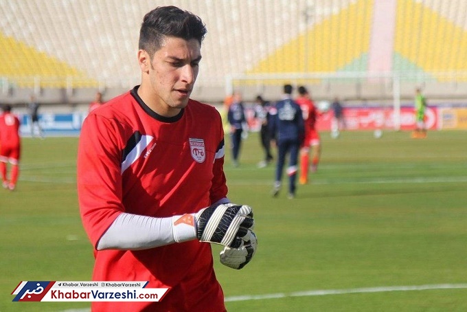 مدیر برنامه اخباری به زنوری چراغ سبز نشان داد