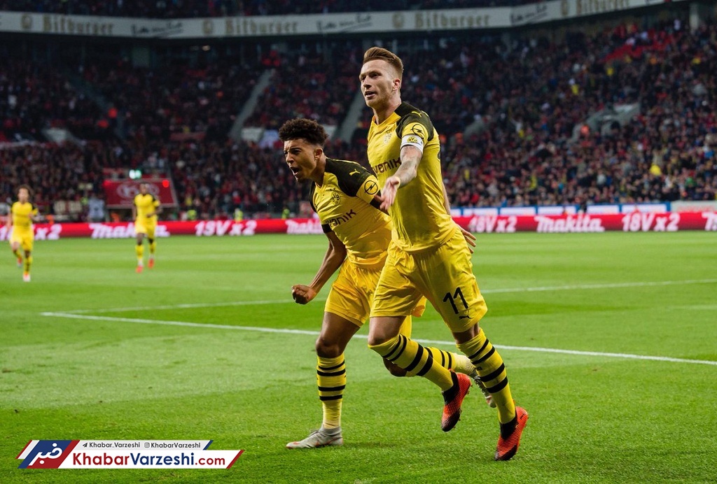 صدرنشینی زنبورها با بازگشت تاریخی