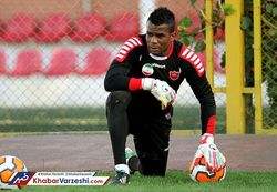 عقاب سیاه پرسپولیس مربی شد