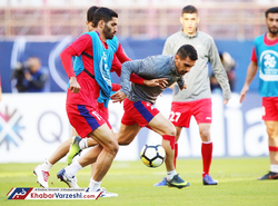 واکنش استیلی به عملکرد عالیشاه