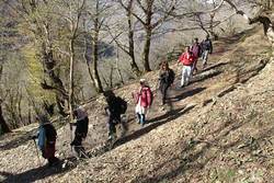 چرا زنان مشهدی برای کوهنوردی نیاز به اجازه‌نامه همسر دارند؟