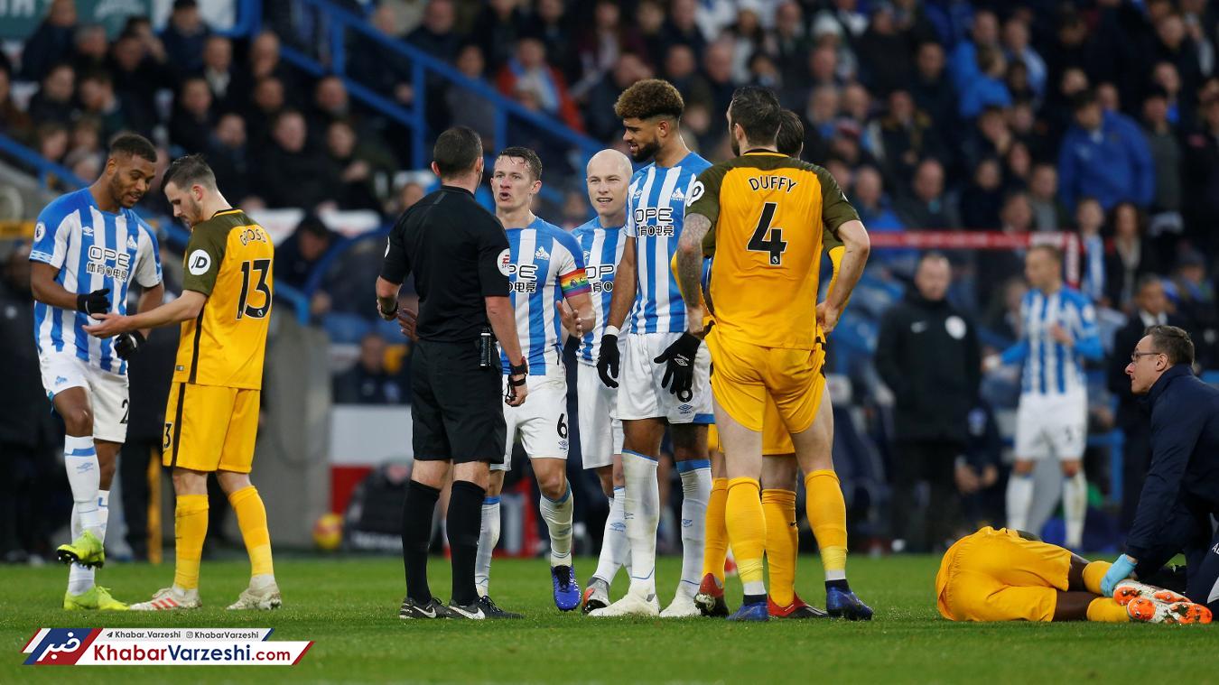 مرغان دریایی، سگ‌های شکاری را کشتند