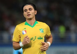 پدیده را مهاجری ساخت نه گل‌محمدی!