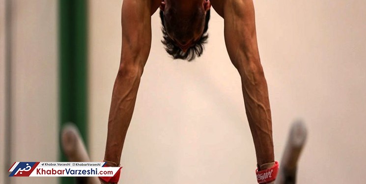 نقره ژیمناست ایرانی در جام ورونین روسیه