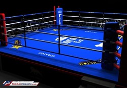 دعوت 42 بوکسور به اردوی تیم ملی