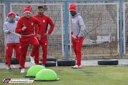 سرمربی جدید آمد، تراکتور تعطیل شد!