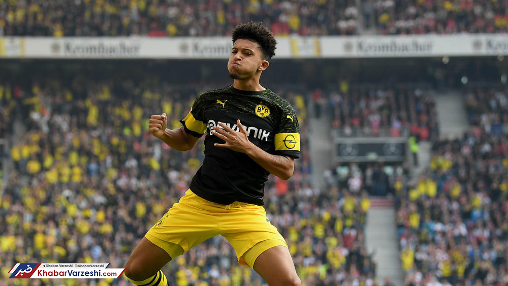 زنبورها کلافه شدند