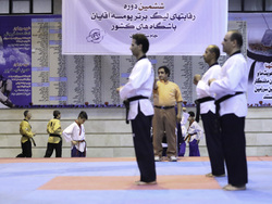 نایب‌قهرمانی شهرداری سمنان در لیگ برتر پومسه