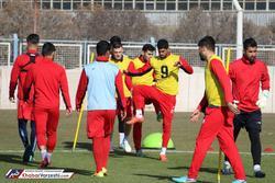 لیکنس پوست تراکتوری‌ها را کند!