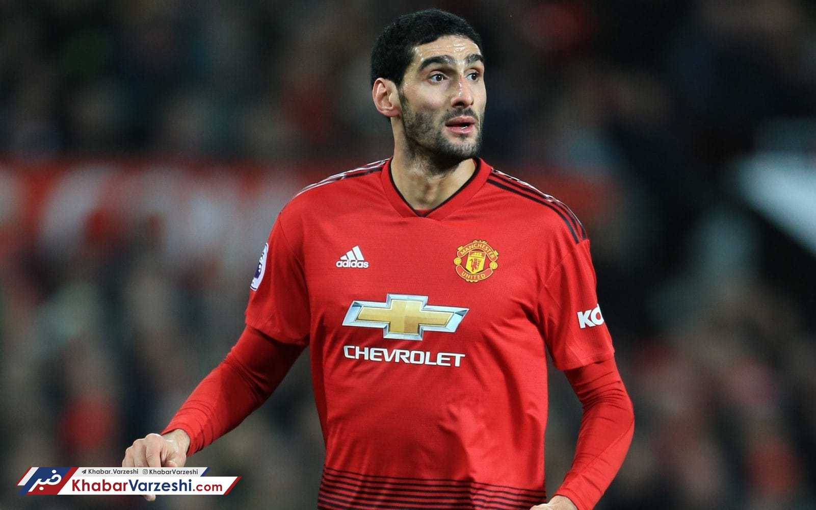 فلینی در آستانه چینی شدن