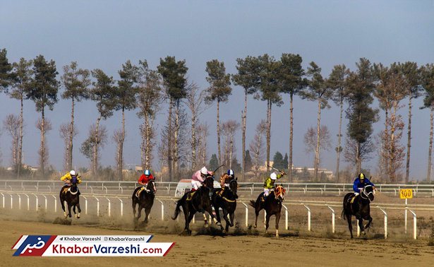 هفته پانزدهم کورس اسب‌دوانی زمستانه گنبد برگزار شد